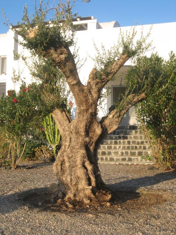 Sun Anemos Resort Oia  Exterior foto