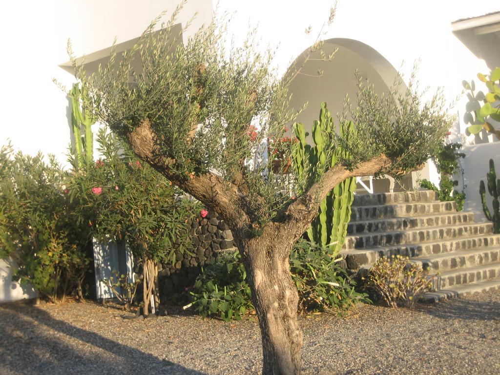 Sun Anemos Resort Oia  Exterior foto